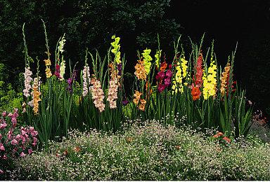 《DOTA2》现在A掉多个装备将受到严重惩罚